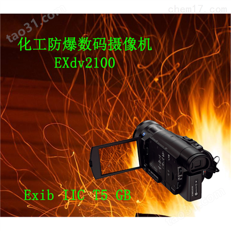 防爆摄像机EXdv2100