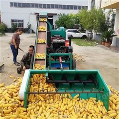 鲁丰 自走式玉米脱粒机 双滚筒玉米脱粒机 生产厂家