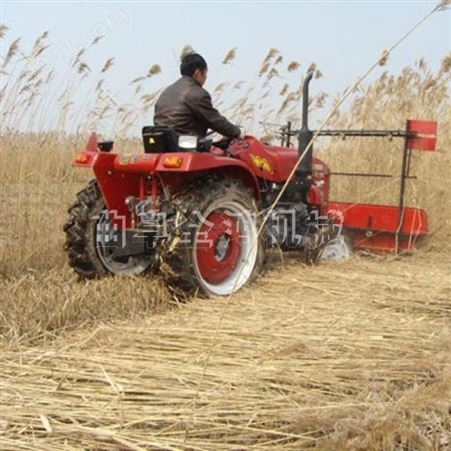 芦苇玉米秸秆放倒机 谷物牧草收割机 青玉米柴油割晒机