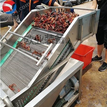 厂家 小龙虾清洗机 海鲜清洗流水线 青岛深水虾清洗设备
