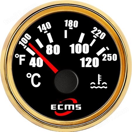 仪创 ECMS 800-00032 水温显示仪表 仪器仪表