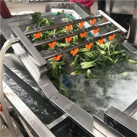 海带扣清洗机-蔬菜水果清洗机械生产厂家-可加工定做-一台起批海带丝