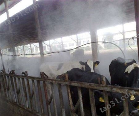 聊城鸡舍喷雾降温厂养殖场喷雾除臭人造雾设备