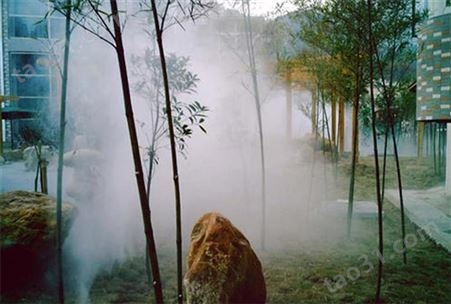 河南社区雾森系统公园景观喷雾设备雾森厂高压喷雾设备