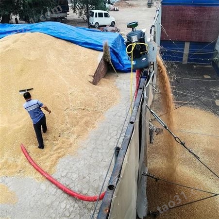 可弯曲软管吸粮机 220v水稻进出仓用提料机 粮食传送机