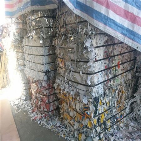 废弃涉密资料销毁 文件纸粉碎 工厂处理各种纸张文件 上海环保型企业