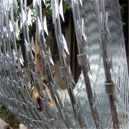 生产 蛇型刀片刺绳刀片网 生产销售刺丝滚笼围墙防盗刺