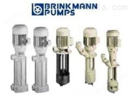 德国布曼BRINKMANN工业泵 BRINKMANN高压泵