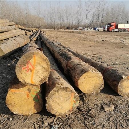 木方报价 5米铁杉木材加工厂批发木方报价公道 呈果木业