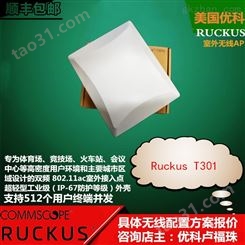 Ruckus T301n无线优科T301户外IP67工业级AP